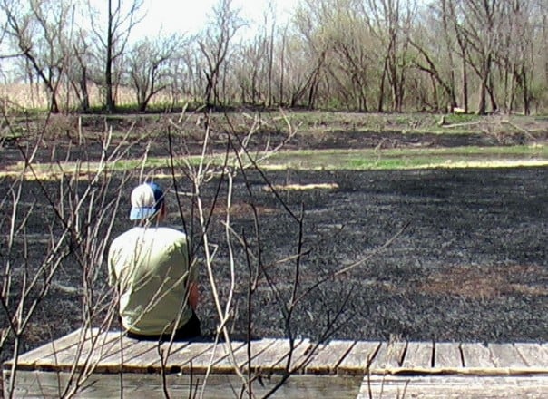 Field in Flames