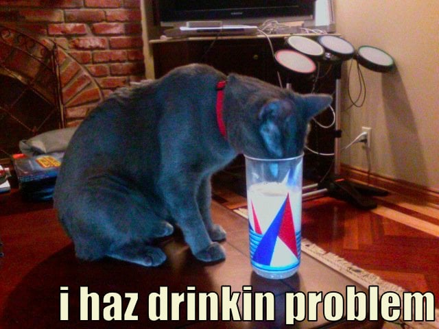 i haz drinkin problem